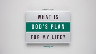 What Is God's Plan for My Life? Luke 11:14-36 King James Version