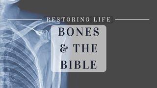 Restoring Life: Bones & the Bible Genèse 50:25 La Bible expliquée