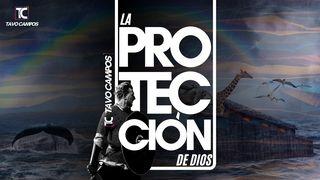 La Protección De Dios 詩篇 3:3 楊格非文理《舊約詩篇》