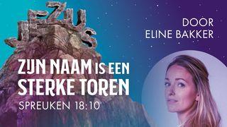 Zijn naam is een sterke toren De Brief van den Apostel Paulus aan de Galaten 3:27 Statenvertaling (Importantia edition)