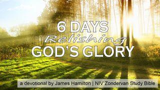 6 Days Relishing God’s Glory 以赛亚书 2:4 新译本