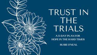 Trust in the Trials 2 சாமு 5:19 இண்டியன் ரிவைஸ்டு வெர்ஸன் (IRV) - தமிழ்