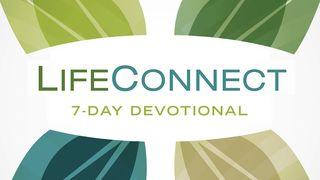 LifeConnect Devotionals by Wayne Cordeiro 出埃及记 17:1-6 新译本