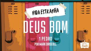 1 Pedro: Vida Estranha, Deus Bom 1Pedro 3:8-9 Almeida Revista e Atualizada