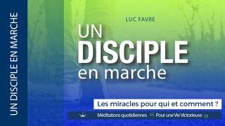 Des Miracles Pour Qui Et Comment ?  Matthieu 2:11 Traduction Française de Modèle