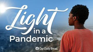 Our Daily Bread: Light in a Pandemic Spreuken 16:20 Het Boek