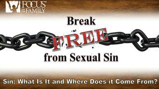 Sin: What Is It And Where Does It Come From? Romanos 6:23 Almeida Revista e Corrigida