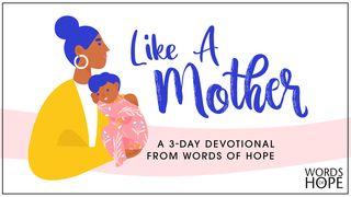 Like a Mother Jesaja 49:13 Het Boek