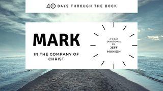 In the Company of Christ Mark 2:17 King James Version