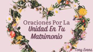 Oraciones Por La Unidad en Tu Matrimonio Efesios 4:20-24 Nueva Versión Internacional - Español