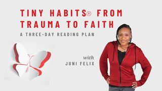 Tiny Habits® From Trauma to Faith యోహాను 14:3 తెలుగు సమకాలీన అనువాదము