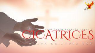 Cicatrices ~Nueva Criatura Soy~ 瑪竇傳的福音 6:14 李山甫等《新經全書》附注釋