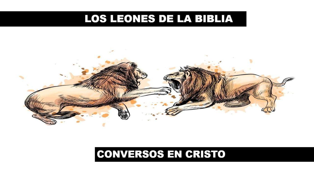 Los Leones De La Biblia