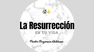 La Resurrección en Tu Vida San Marcos 6:41-42 Reina Valera Contemporánea