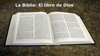 El valor de la corrección bíblica Proverbios 3:11-12 Traducción en Lenguaje Actual