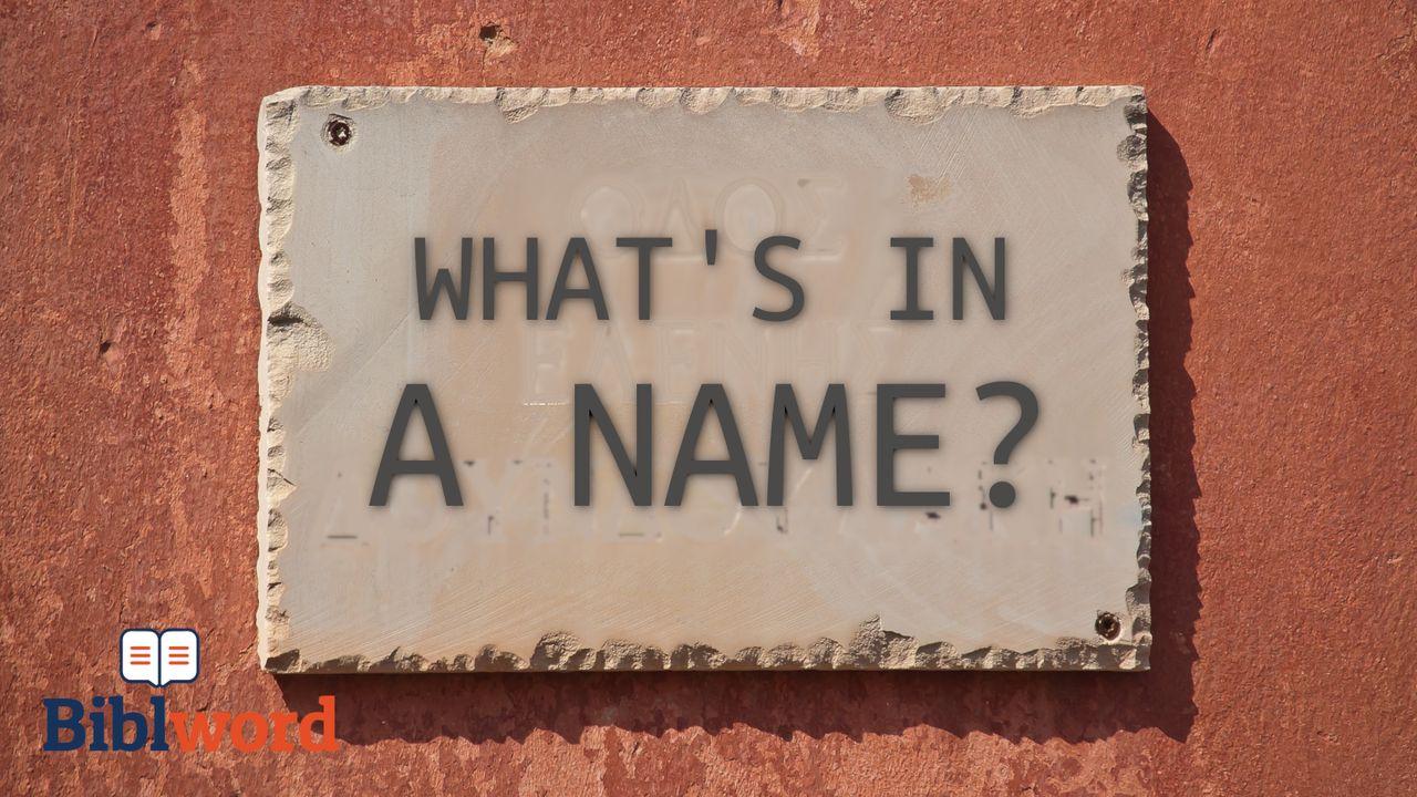 What's in a Name?