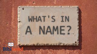 What's in a Name? Jaratılıs 4:26 Muxaddes Kitap