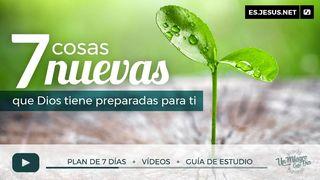 7 Cosas Nuevas Que Dios Tiene Preparadas Para Ti. LUCAS 4:18-19 La Palabra (versión española)