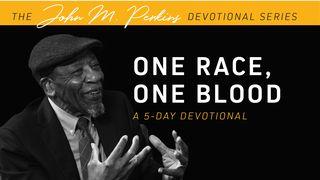 One Race, One Blood PIANPATNAK 11:1 Ngawm Bible