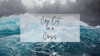 Cry Out in a Crisis De Psalmen 147:5 NBG-vertaling 1951