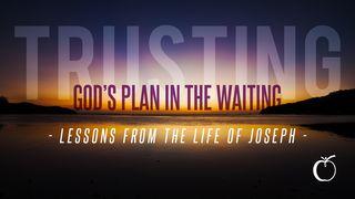 Trusting God's Plan in the Waiting: Lessons From the Life of Joseph Genesis 47:5-6 Contemporary English Version (Anglicised) 2012