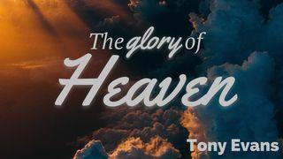 The Glory of Heaven 约翰福音 14:1-31 新标点和合本, 神版