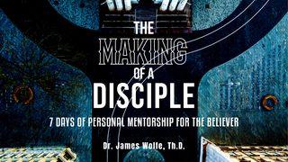 The Making of a Disciple - 7 Days of Mentorship Luke 21:13-15 King James Version