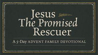 Jesus, the Promised Rescuer: An Advent Family Devotional Miqueas 5:4 Biblia Reina Valera 1960