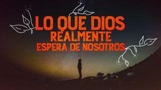 Lo Que Dios Realmente Espera De Nosotros Proverbios 1:7-9 Reina Valera Contemporánea