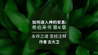 如何进入神的安息：希伯来书第4章 希伯来书 4:9-10 中文标准译本