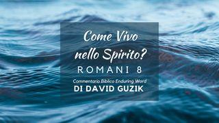 Come Vivo Nello Spirito?: Commentario Biblico Su Romani 8 Lettera ai Romani 8:28 Nuova Riveduta 2006