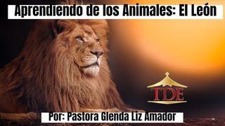 Aprendiendo De Los Animales: El León Jueces 6:11-16 Biblia Reina Valera 1960