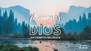 Promesas De Dios en Tiempos De Crisis Isaías 26:3 Nueva Versión Internacional - Castellano