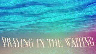 Praying in the Waiting  San Mateo 26:40 Biblia Dios Habla Hoy