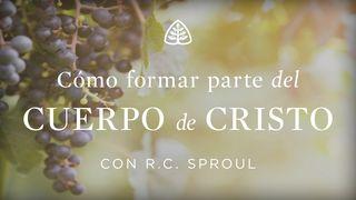 Cómo formar parte del cuerpo de Cristo 2 Tesalonicenses 3:9 Nueva Versión Internacional - Español