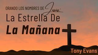 Orando Los Nombres De Jesús: La Estrella De La Mañana Proverbios 3:7 Nueva Traducción Viviente