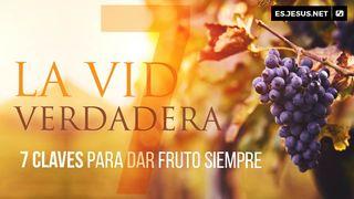 La Vid Verdadera. 7 Claves Para Dar Fruto Siempre. JUAN 15:1-6 Dios Habla Hoy Versión Española