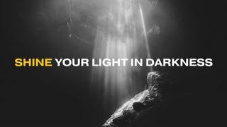 Shine Your Light in Darkness Genesis 1:24-25 The Message