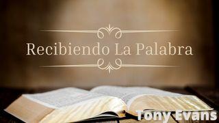 Recibiendo La Palabra Salmos 119:11 Biblia Reina Valera 1960