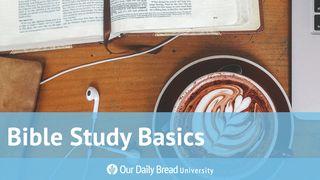 Our Daily Bread University - Bible Study Basics De Brief van den Apostel Paulus aan de Hebreën 5:12-13 Statenvertaling (Importantia edition)