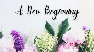 A New Beginning 1 Johannes 3:24 Herziene Statenvertaling