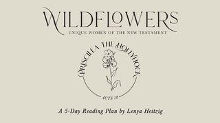 Wildflowers Week Four | Priscilla the Hollyhock  யாத் 25:8-9 இண்டியன் ரிவைஸ்டு வெர்ஸன் (IRV) - தமிழ்