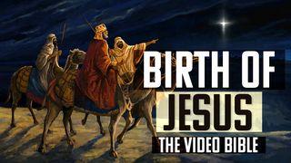 Birth of Jesus - The Video Bible St. Matiu 2:12-13 Taroha Goro mana Usuusu Maea