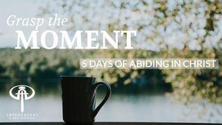 Grasp the Moment Salmos 39:4 O Livro