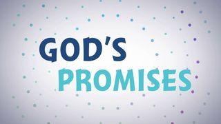 The Process Between the Promise Made and the Promise Fulfilled Jesaja 30:18 Het Boek