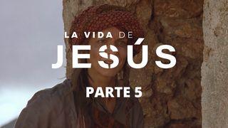 La Vida De Jesús. Parte 5 (5/7). JUAN 14:27 La Palabra (versión española)