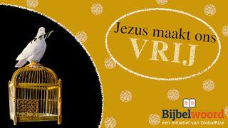 Vrijheid Vinden in Jezus Romeinen 6:4 Het Boek