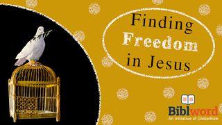 Finding Freedom in Jesus Jesaja 54:8 Het Boek