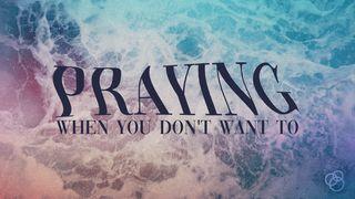 Praying When You Don't Want To Matyu 15:28 Marik