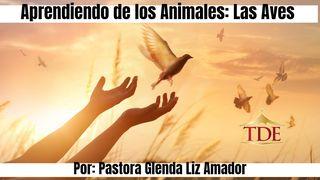Aprendiendo De Los Animales: Las Aves S. Lucas 19:38 Biblia Reina Valera 1960